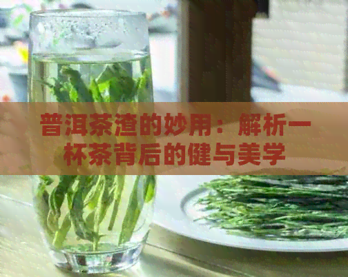 普洱茶渣的妙用：解析一杯茶背后的健与美学