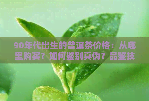 90年代出生的普洱茶价格：从哪里购买？如何鉴别真伪？品鉴技巧与注意事项