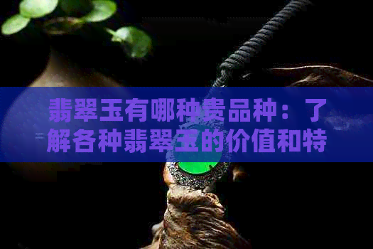 翡翠玉有哪种贵品种：了解各种翡翠玉的价值和特点