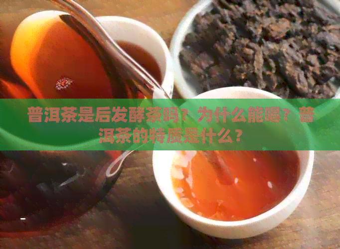 普洱茶是后发酵茶吗？为什么能喝？普洱茶的特质是什么？