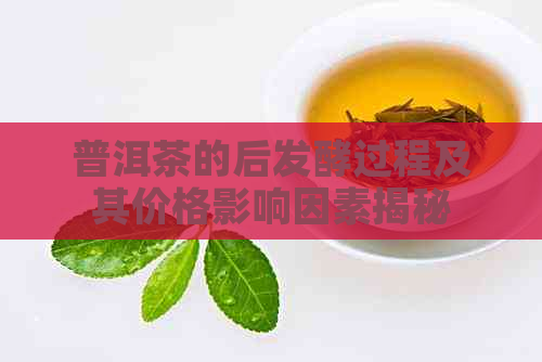 普洱茶的后发酵过程及其价格影响因素揭秘