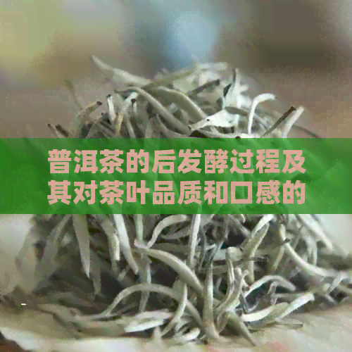 普洱茶的后发酵过程及其对茶叶品质和口感的影响是什么？