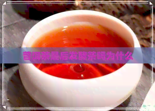 普洱茶是后发酵茶吗为什么