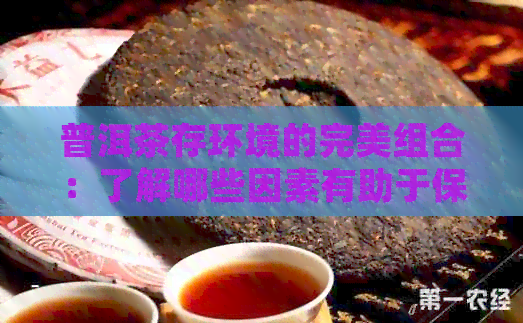 普洱茶存环境的完美组合：了解哪些因素有助于保持茶叶品质