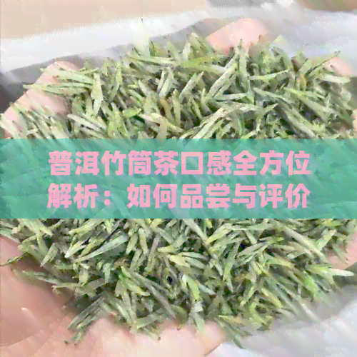 普洱竹筒茶口感全方位解析：如何品尝与评价这款独特茶叶的风味和品质