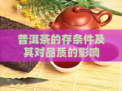 普洱茶的存条件及其对品质的影响