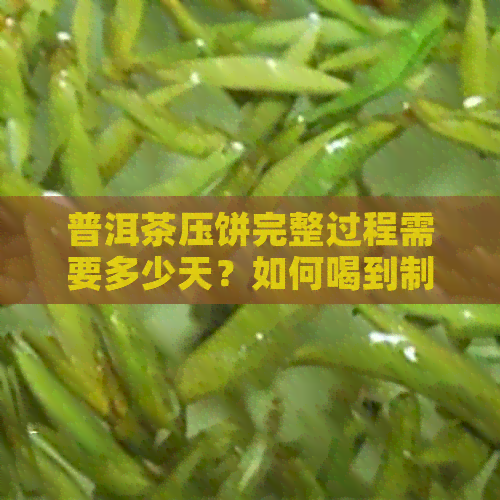 普洱茶压饼完整过程需要多少天？如何喝到制成的普洱茶饼？