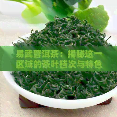 易武普洱茶：揭秘这一区域的茶叶档次与特色