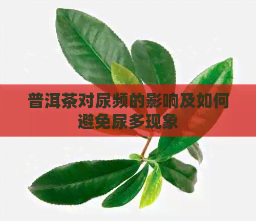 普洱茶对尿频的影响及如何避免尿多现象