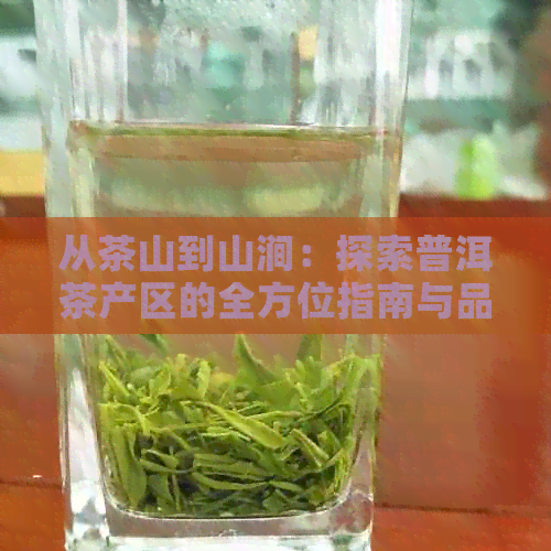 从茶山到山涧：探索普洱茶产区的全方位指南与品鉴体验