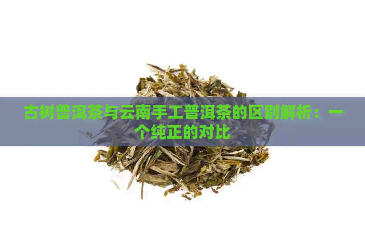 古树普洱茶与云南手工普洱茶的区别解析：一个纯正的对比