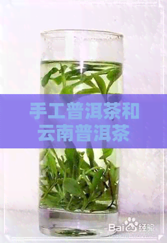 手工普洱茶和云南普洱茶