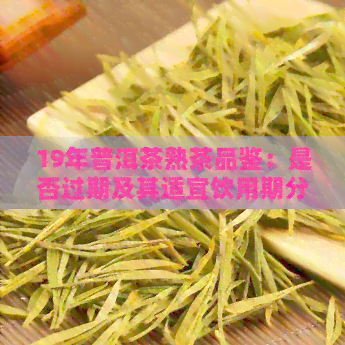 19年普洱茶熟茶品鉴：是否过期及其适宜饮用期分析