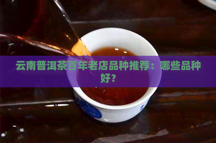 云南普洱茶百年老店品种推荐：哪些品种好？