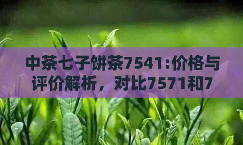 中茶七子饼茶7541:价格与评价解析，对比7571和7572系列