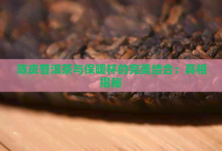 陈皮普洱茶与保暖杯的完美结合：真相揭秘