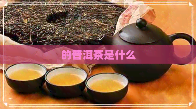 的普洱茶是什么