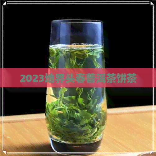 2023地界头春普洱茶饼茶