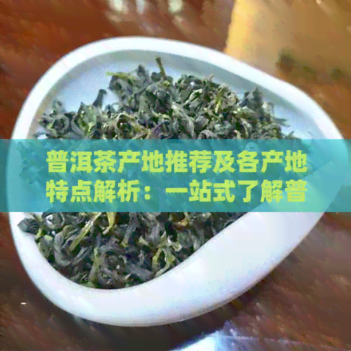 普洱茶产地推荐及各产地特点解析：一站式了解普洱茶世界