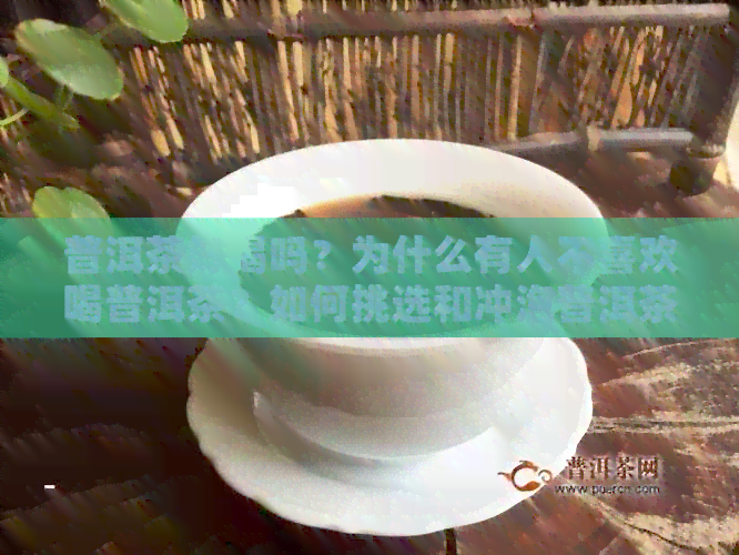 普洱茶好喝吗？为什么有人不喜欢喝普洱茶？如何挑选和冲泡普洱茶？