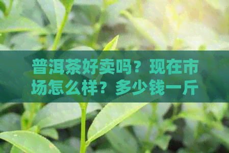 普洱茶好卖吗？现在市场怎么样？多少钱一斤？