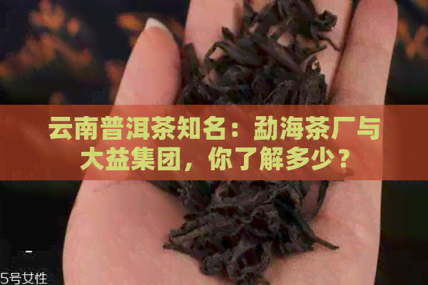 云南普洱茶知名：勐海茶厂与大益集团，你了解多少？