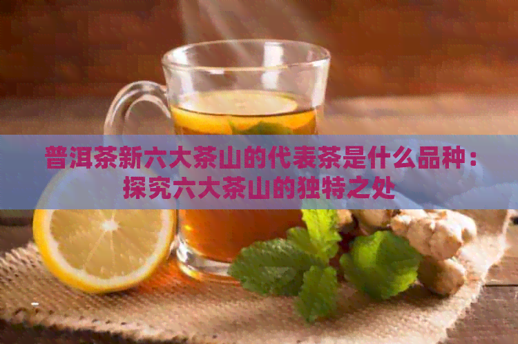 普洱茶新六大茶山的代表茶是什么品种：探究六大茶山的独特之处