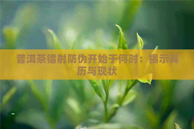 普洱茶镭射防伪开始于何时：揭示其历与现状