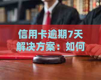 信用卡逾期7天解决方案：如何应对、影响与补救措全面解析