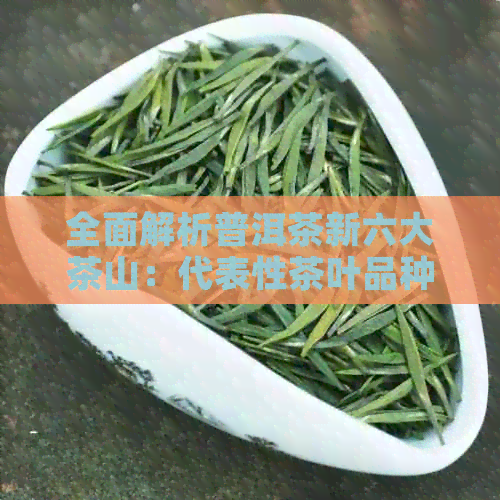 全面解析普洱茶新六大茶山：代表性茶叶品种一网打尽！