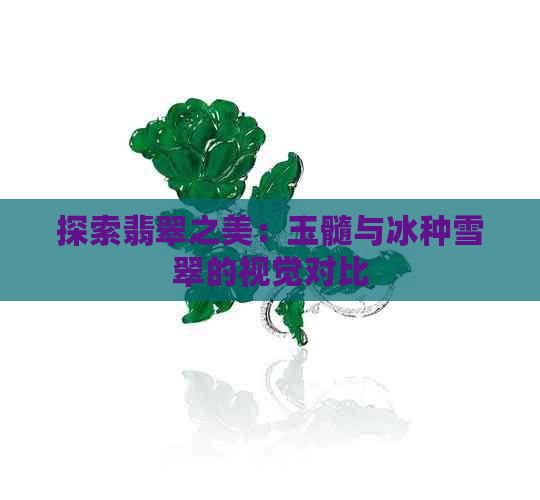 探索翡翠之美：玉髓与冰种雪翠的视觉对比