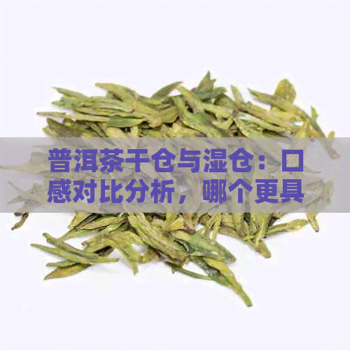 普洱茶干仓与湿仓：口感对比分析，哪个更具特色？