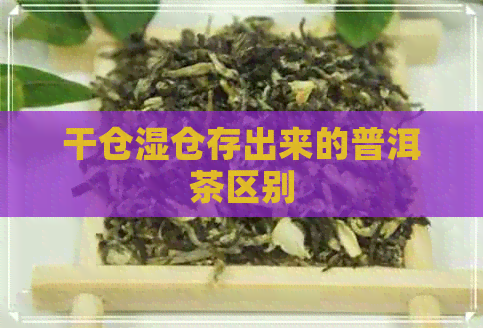 干仓湿仓存出来的普洱茶区别