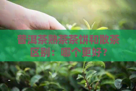 普洱茶熟茶茶饼和散茶区别：哪个更好？