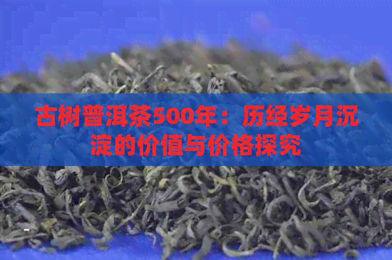 古树普洱茶500年：历经岁月沉淀的价值与价格探究