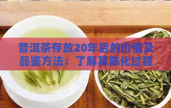 普洱茶存放20年后的价值及品鉴方法：了解其陈化过程与口感变化