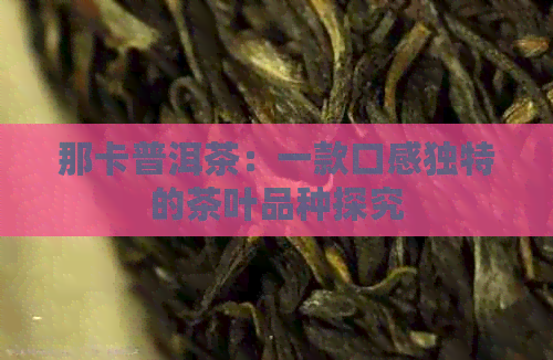 那卡普洱茶：一款口感独特的茶叶品种探究