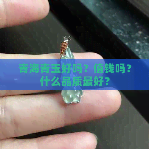 青海青玉好吗？值钱吗？什么品质更好？