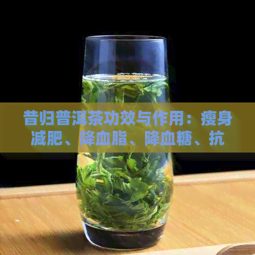 昔归普洱茶功效与作用：瘦身减肥、降血脂、降血糖、抗衰老