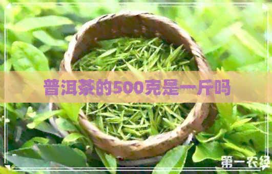 普洱茶的500克是一斤吗