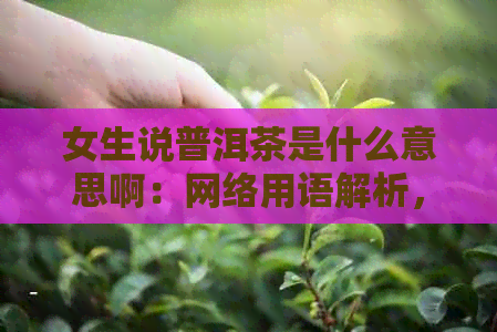 女生说普洱茶是什么意思啊：网络用语解析，了解这款中国茶的意义与魅力。