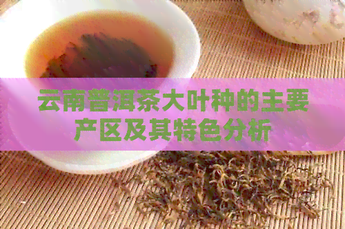 云南普洱茶大叶种的主要产区及其特色分析