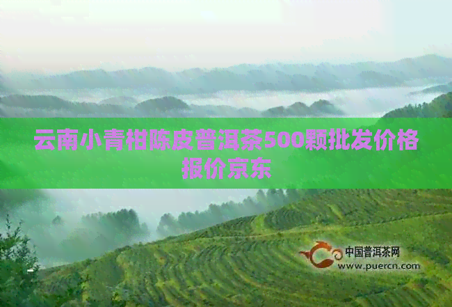 云南小青柑陈皮普洱茶500颗批发价格报价京东