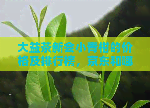 大益茶新会小青柑的价格及排行榜，京东和哪个更实？