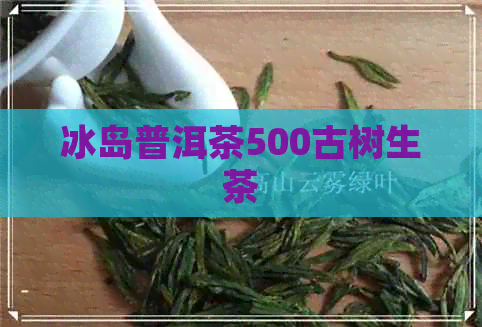 冰岛普洱茶500古树生茶