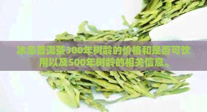 冰岛普洱茶300年树龄的价格和是否可饮用以及500年树龄的相关信息。