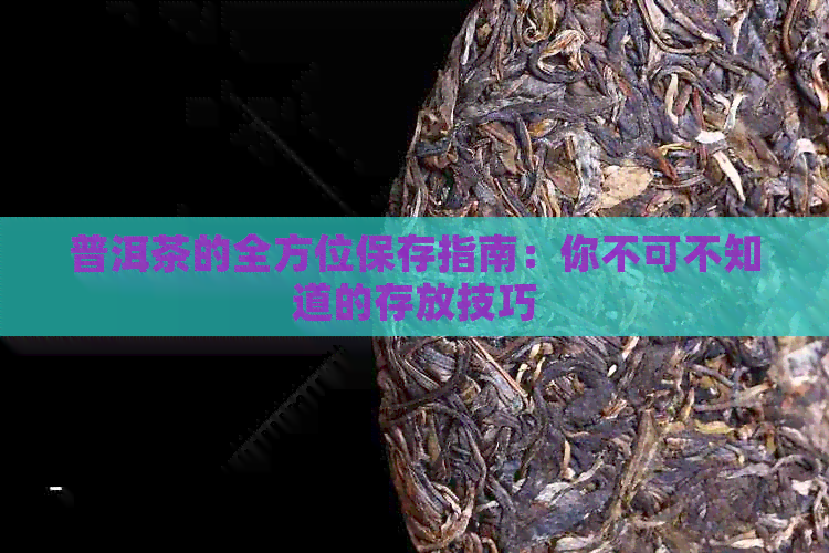 普洱茶的全方位保存指南：你不可不知道的存放技巧