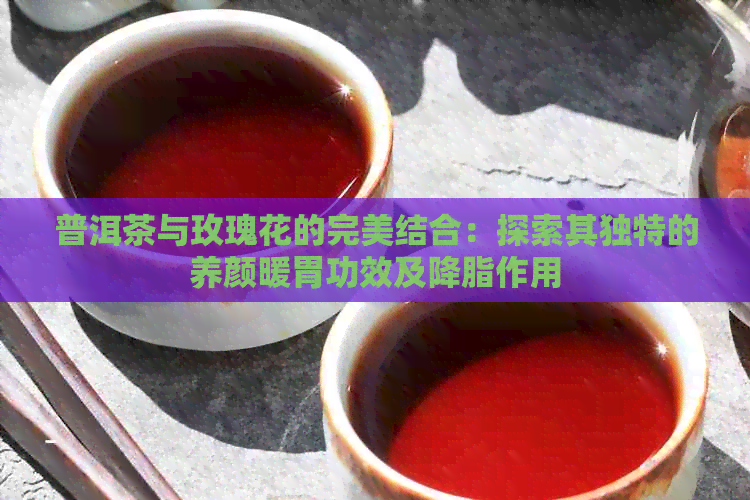 普洱茶与玫瑰花的完美结合：探索其独特的养颜暖胃功效及降脂作用