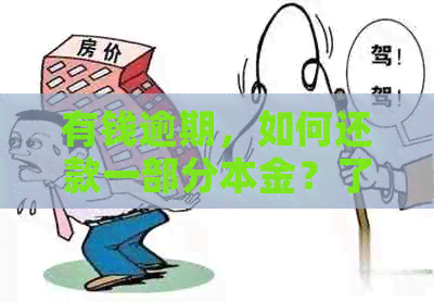 有钱逾期，如何还款一部分本金？了解银行信用卡信用修复方法