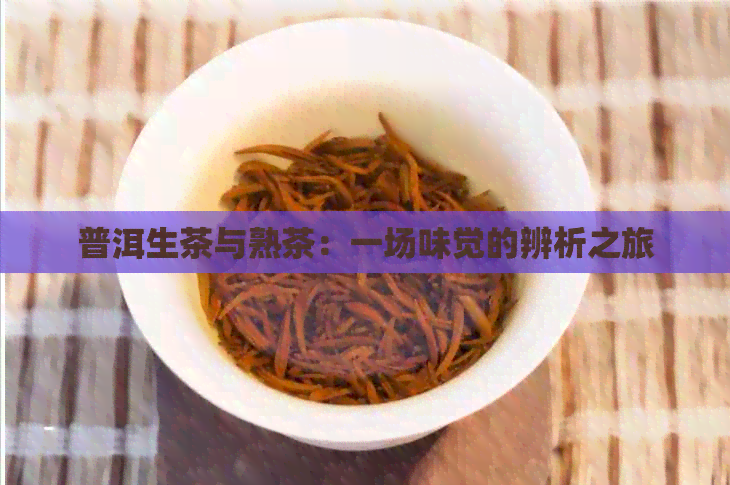 普洱生茶与熟茶：一场味觉的辨析之旅